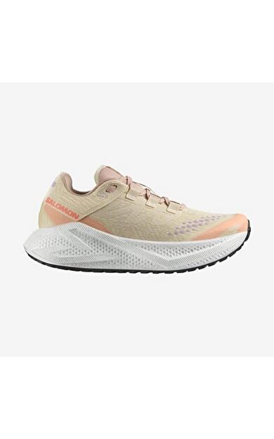 Salomon L47812500 Aero Glide 3 Grvl W Kadın Koşu Ayakkabısı
