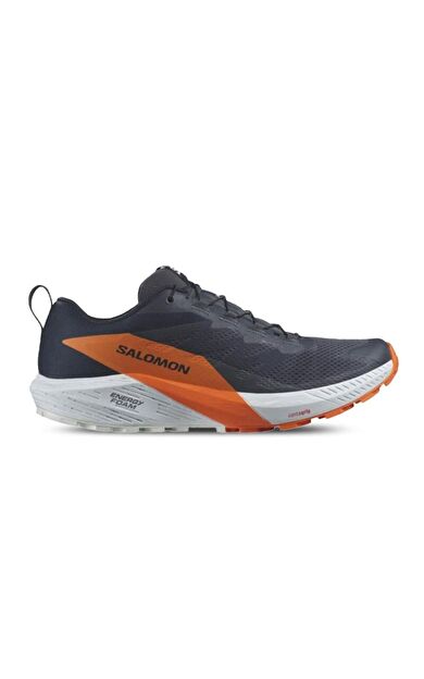 Salomon Erkek Outdoor Ayakkabı Sense Ride 5 Gtx L47459400