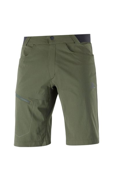 Salomon Wayfarer Shorts Erkek Şort