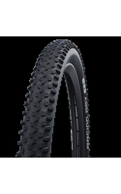 SCHWALBE RACING RAY PERFORMANCE ADDIX TLRKATLANIR 29x2.25 DIŞ LASTİK