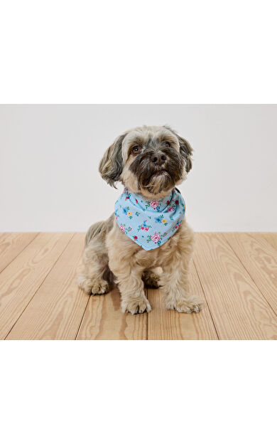 Çift Taraflı Köpek Fuları