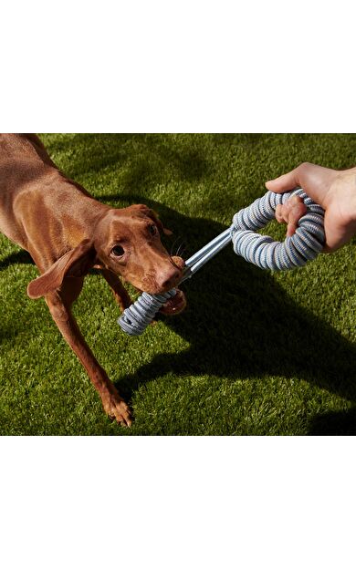 Köpek Oyuncağı Bej-mavi