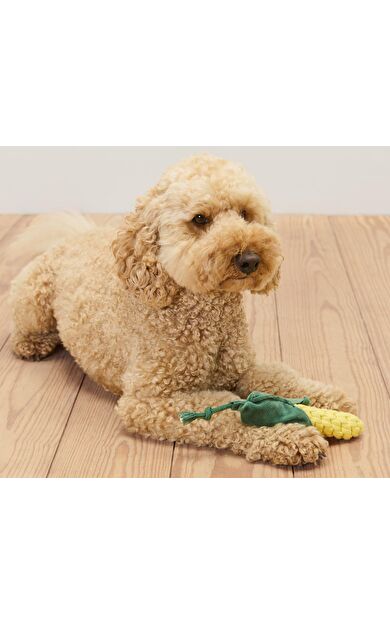 Köpek Oyuncağı, Mısır
