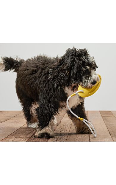 Köpekler İçin Fırlatma ve Su Oyuncağı
