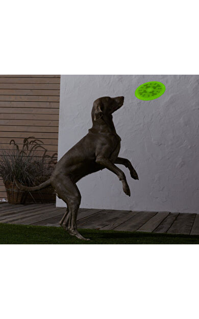 Tchibo Köpekler İçin Frizbi 684735