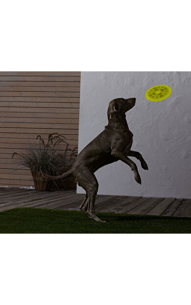 Köpekler İçin Frizbi