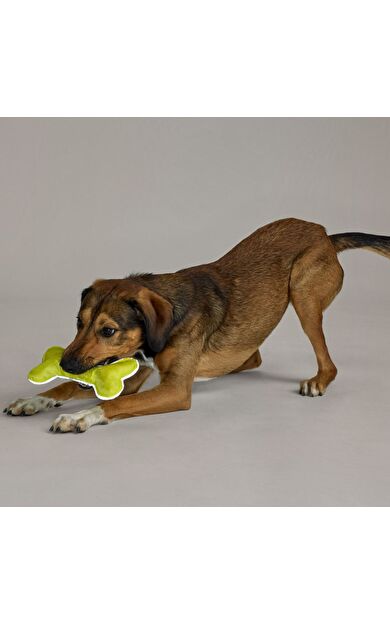Köpekler İçin Oyuncak, Kemik