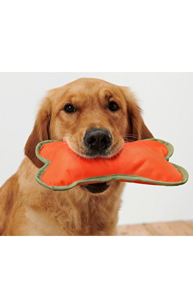 Köpekler İçin Oyuncak Kemik, Geri Dön. PES