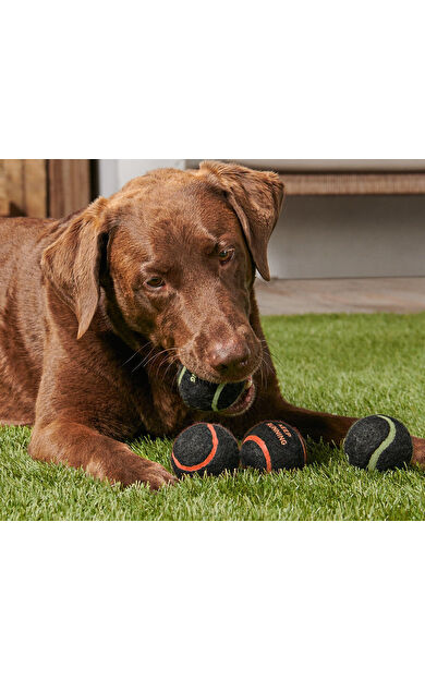 Köpekler İçin Oyuncak Top, 4 lü Set