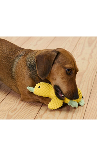 Pelüş Köpek Oyuncağı »Küçük Ördek«