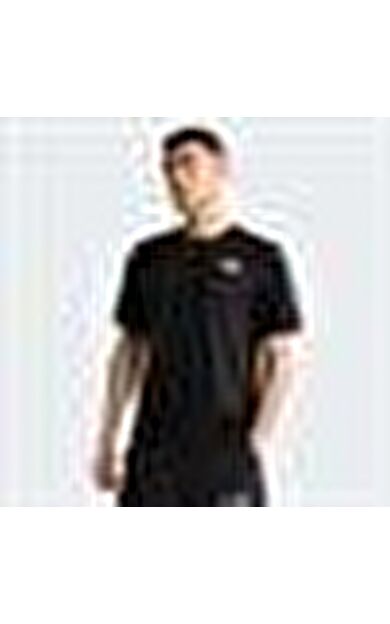 The North Face M 24/7 Short Sleeve Tee-Graphic Erkek Tişört NF0A8G83JK31