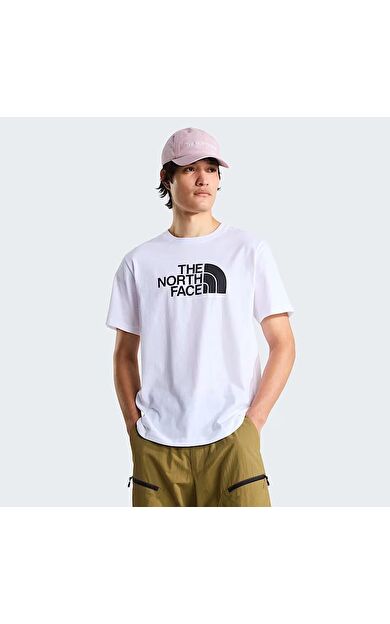The North Face M Evolution Half Dome Regular Short Slee Erkek Tişört NF0A8B6JLA91