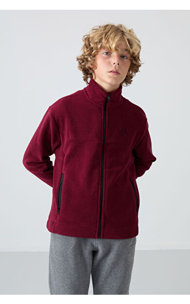 TommyLife Erguvan Kalın Yumuşak Dokulu Standart Fit Nakışlı Polar Erkek Çocuk Sweatshirt - 11223