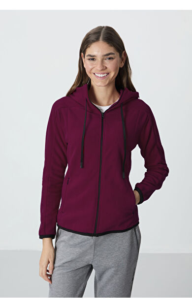 Erguvan Kalın Yumuşak Dokulu Kapüşonlu Standart Fit Nakışlı Polar Kadın Sweatshirt -97287