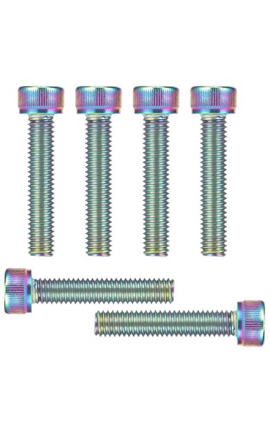 UGR Oilslick Furç Boğaz Kapak Vidası 6 Adet M6x30 Rainbow 12333