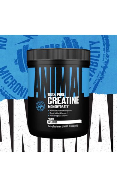 Universal Animal Creatine Monohydrate 300gr