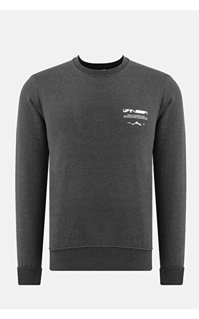 VANEDA Bisiklet Yaka Regular Fit Next Unisex Sweatshirt Antrasit