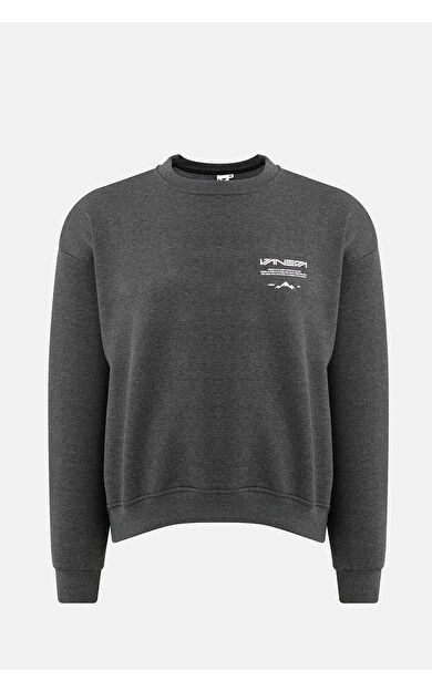 VANEDA Bisiklet Yaka Oversized Fit Next Unisex Sweatshirt Antrasit