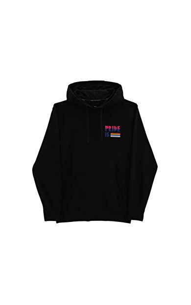 Vans   Po Erkek Günlük Sweatshirts VN0A7SFHBLK1 Siyah