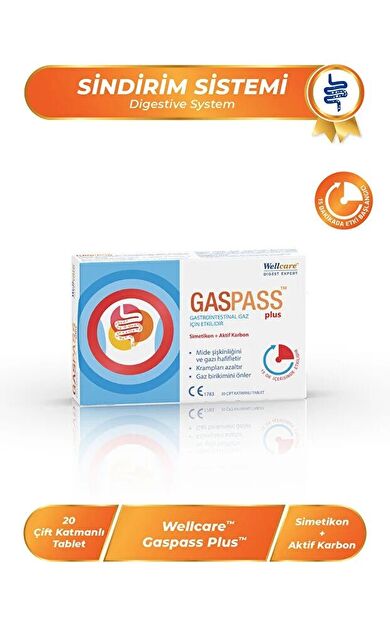 Wellcare Gaspass Plus 20 Tablet