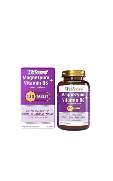 Wellcare Magnesium Vitamin B6 120 Tablet