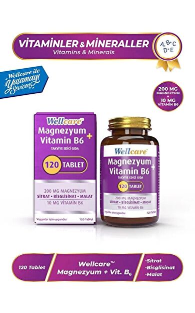 Wellcare Magnesium Vitamin B6 120 Tablet