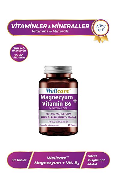 Wellcare Magnezyum + Vitamin B6 30 Tablet