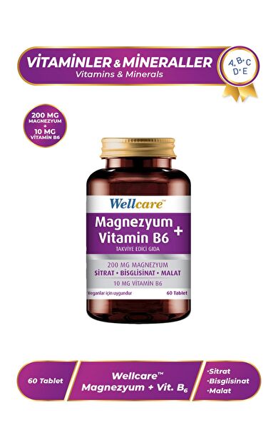 Wellcare Magnezyum + Vitamin B6 60 Tablet
