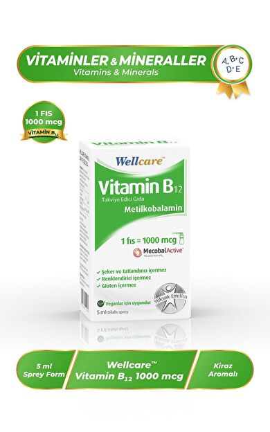 Wellcare Vitamin B12 1000 mcg Sprey 5 ml