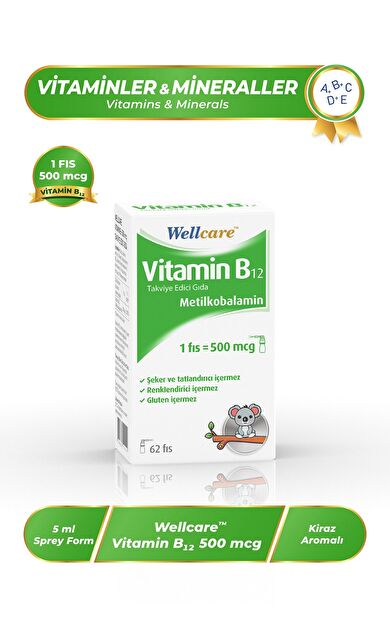 Wellcare Vitamin B12 500 mcg Sprey 5 ml