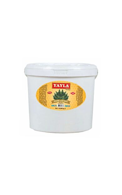 Yayla Süzme Çam Salgı Balı 20 Kg (Kova)