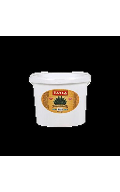 Yayla Süzme Çam Salgı Balı 4 Kg (Kova)