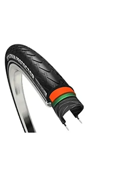 CST Platinum Protector 700x38 28